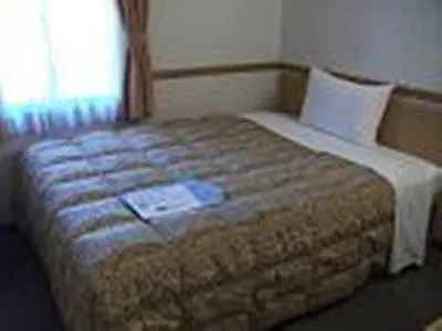 Toyoko Inn Osaka Namba Nishi 3*,